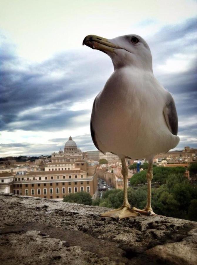 Falegnami Apartment Roma Dış mekan fotoğraf